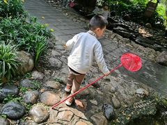 -成都市活水公园