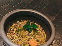 -瓦舍茶馆(聚源路店)