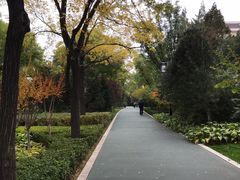 -迎泽公园