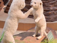 -陕西自然博物馆