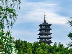 -宜兴龙背山森林公园