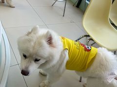 -怪兽屋·羊驼·猫咖·狗咖(俊华广场店)