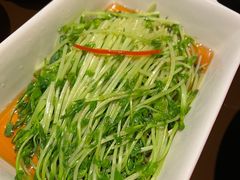 白灼豆苗-火宫殿·湘菜小吃·商务宴请·生日聚会(东塘店)