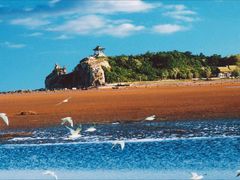 -大鹿岛
