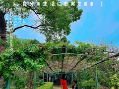 -花果山庄•现烤荔枝柴烧鹅
