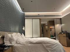 -深圳国际会展中心希尔顿酒店(前海华发冰雪世界店)