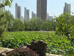 -南翠屏公园