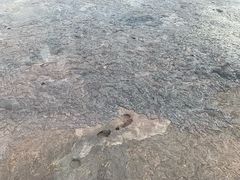 -夏威夷火山国家公园