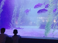 -常州海昌海洋探索馆