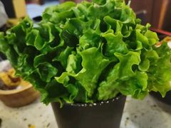 -炙爱鮮貨火锅(中东砂之船店)