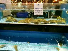 -石浦大酒店(百丈店)