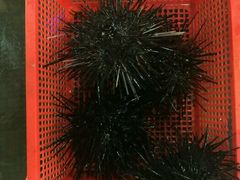 -幸福姐海鲜大排档