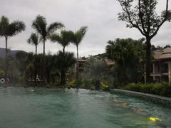 -广州都喜泰丽温泉度假酒店