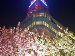 -札幌电视塔