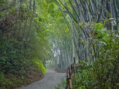 -水濂山森林公园