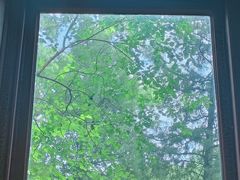 -北京动物园-畅观楼