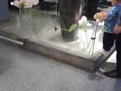 -鸽子侯·家宴·平价海鲜(市图书馆店)