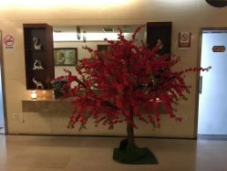 -西安伊美尔医疗美容医院