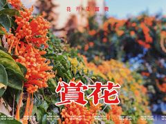 -中山路步行街