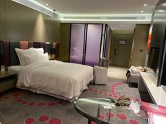 -南京禄口机场雅高铂尔曼大酒店