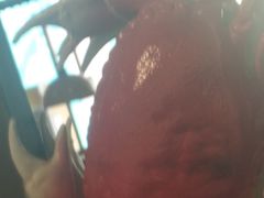 -胖哥俩肉蟹煲(来福士店)