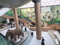 -陕西自然博物馆