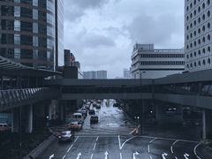 -香港大学