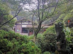 -中国茶叶博物馆(双峰馆区)