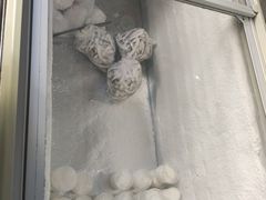 -洪馨椰子