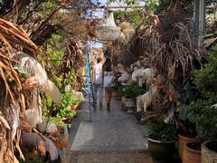 -The Grounds of Alexandria
