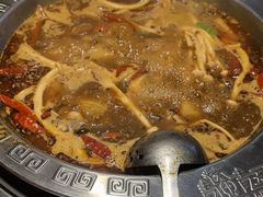 -成老灶火锅鸡(平山店)