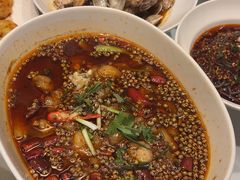 -杨氏青龙虾·羊蝎子(金盛路总店)