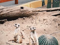 -北京野生动物园