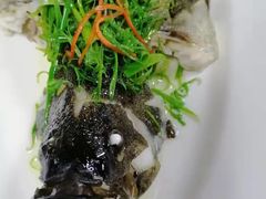 -彩丰楼中餐厅·早茶·点心·粤菜(海口华彩洲际酒店)