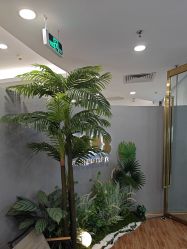 点击看大图 -八佰伴8008星级形象店