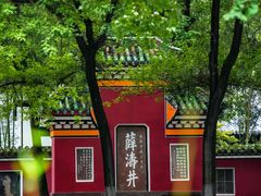 -望江楼公园
