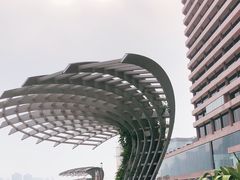 -星光大道