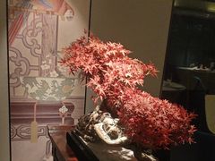 -顺峰(农展馆店)