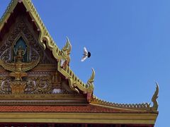 -洛阳白马寺