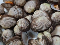 -渔家小院观海海肠捞饭地方菜(环海中路店)