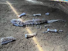 -房山世界地质公园博物馆