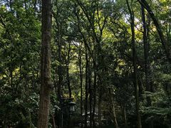 -九曜山