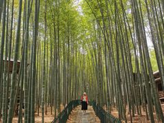 -宝岩生态观光园