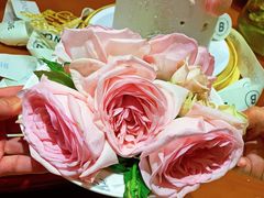 -Biteology Artisan Cakes(红庄·国际文化保税创新园店)