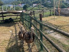 -趣飞飞黑麋峰国际滑翔伞基地