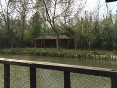 -溱湖国家湿地公园