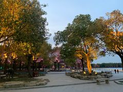 -溱湖国家湿地公园