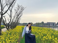 -杭州湾海上花田景区