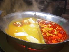 红颜花胶鸡鸳鸯锅-湊湊火锅·茶憩(南京东路悦荟店)