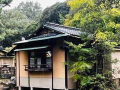 -奈良公园